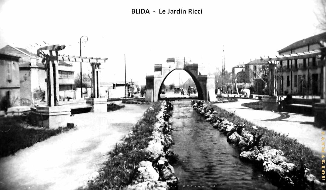 Blida - Jardin - Ricci.jpg